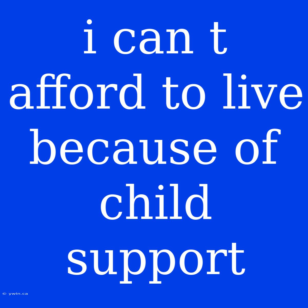 I Can T Afford To Live Because Of Child Support