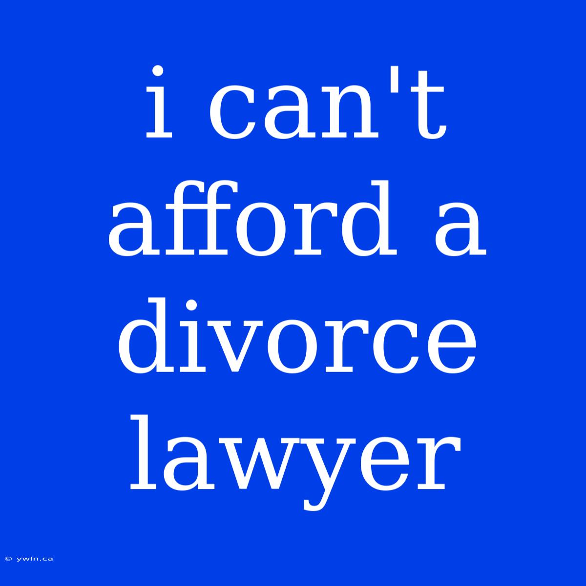 I Can't Afford A Divorce Lawyer