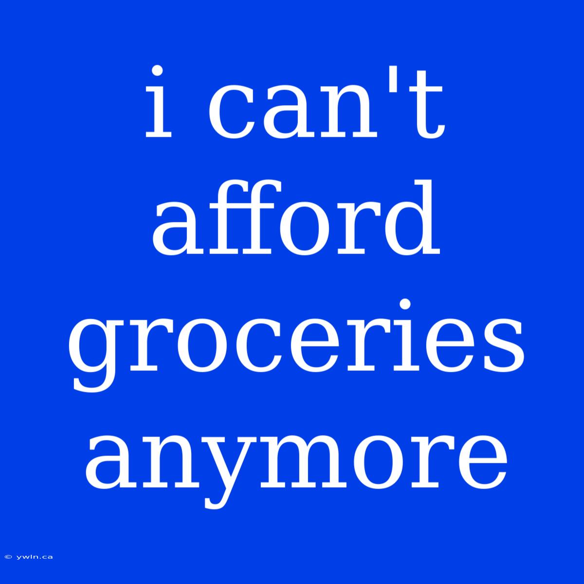 I Can't Afford Groceries Anymore