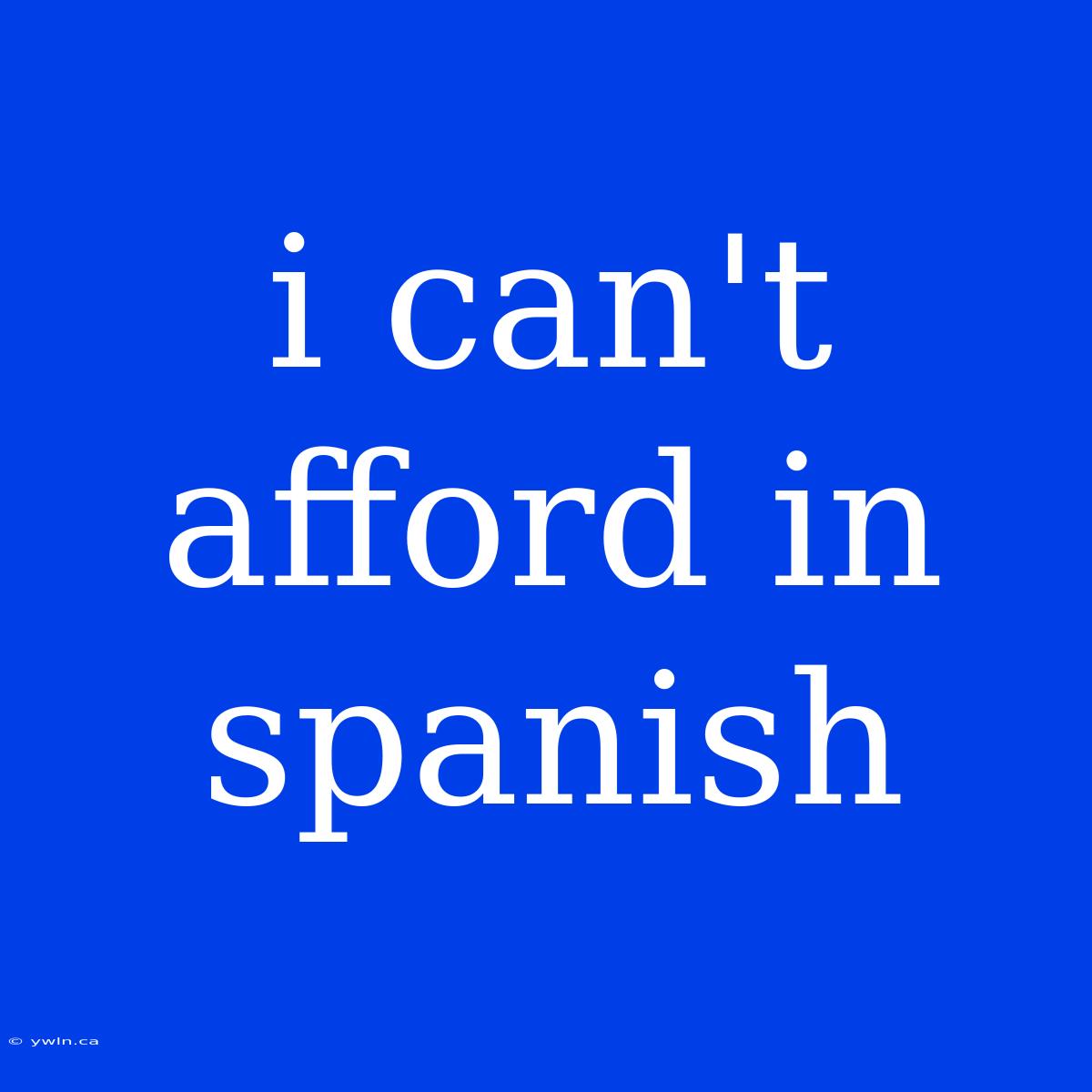 I Can't Afford In Spanish