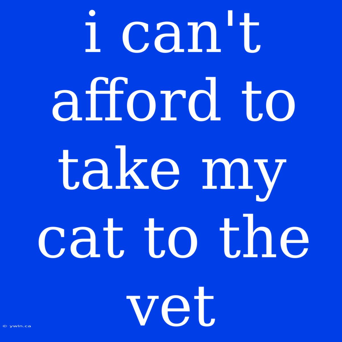 I Can't Afford To Take My Cat To The Vet