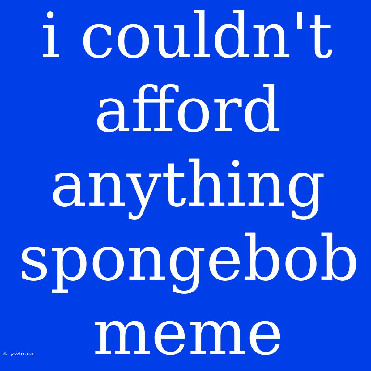 I Couldn't Afford Anything Spongebob Meme