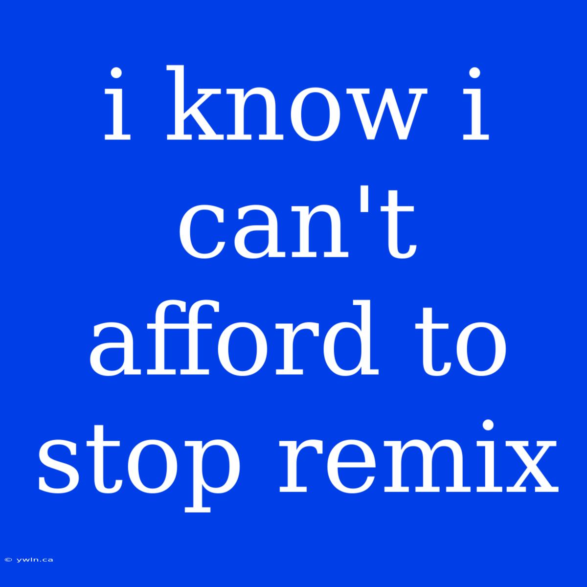 I Know I Can't Afford To Stop Remix