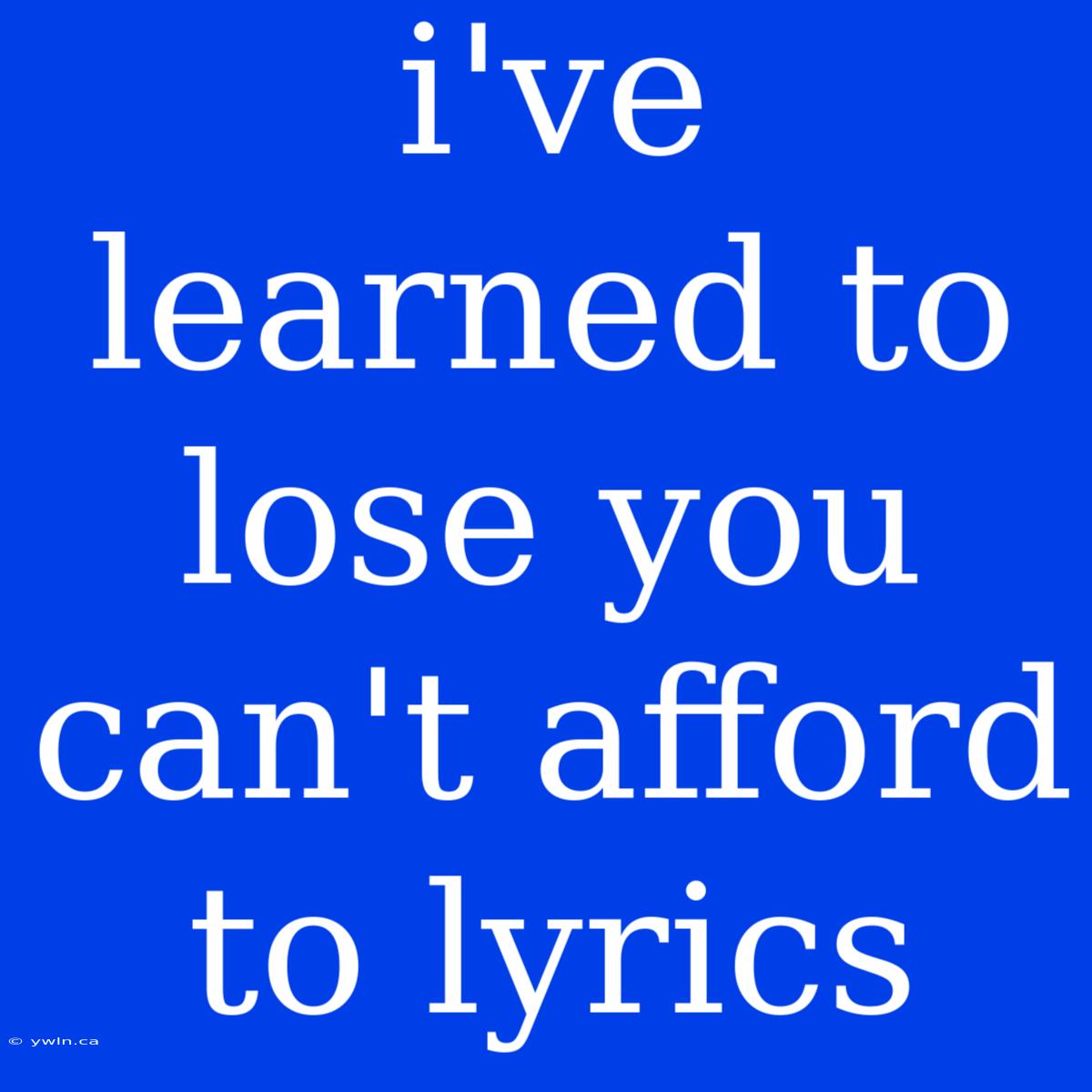 I've Learned To Lose You Can't Afford To Lyrics