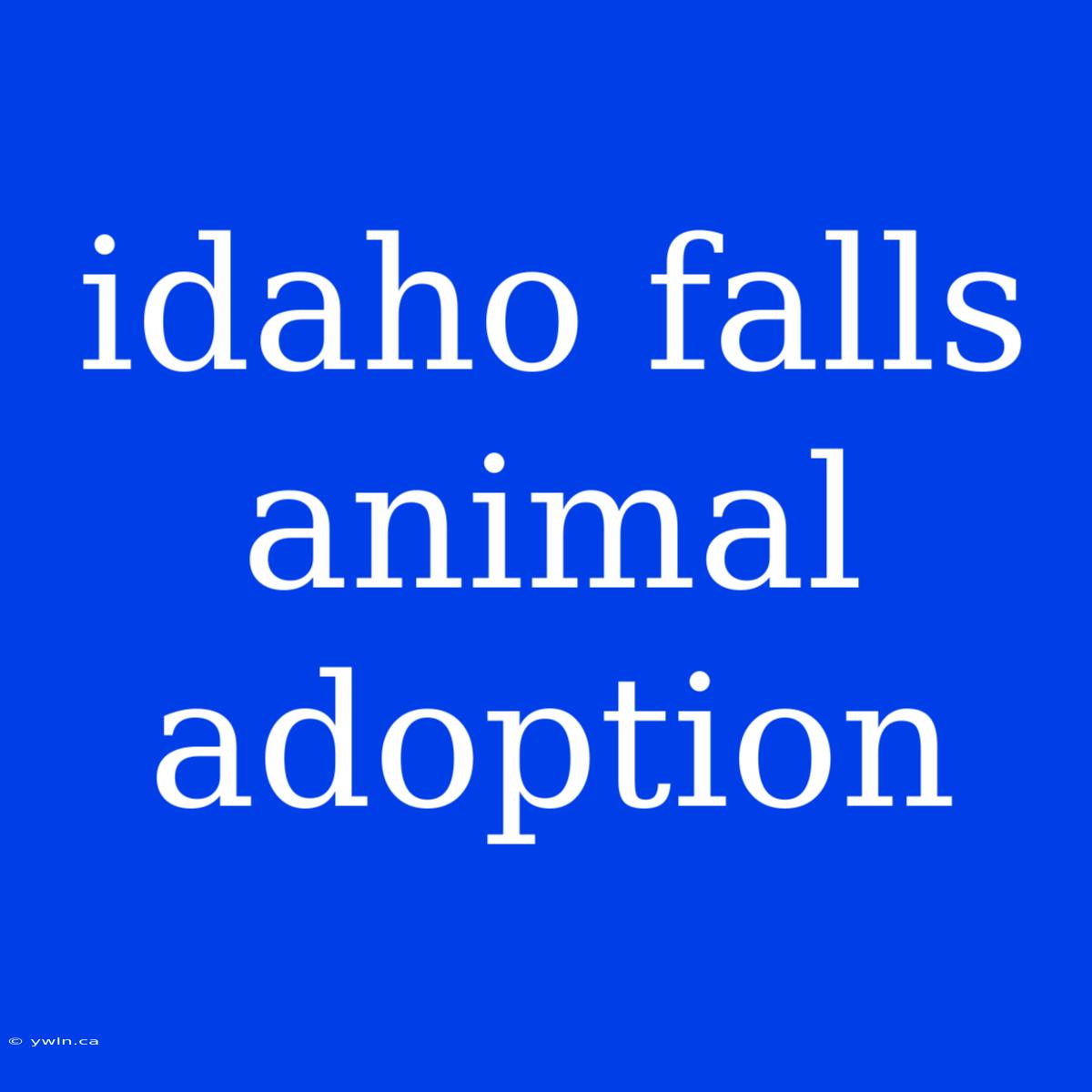 Idaho Falls Animal Adoption