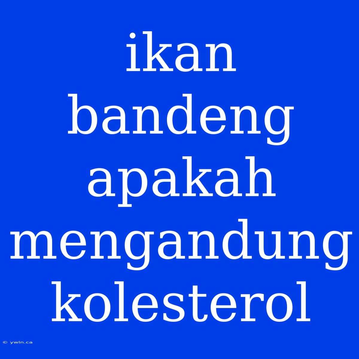 Ikan Bandeng Apakah Mengandung Kolesterol