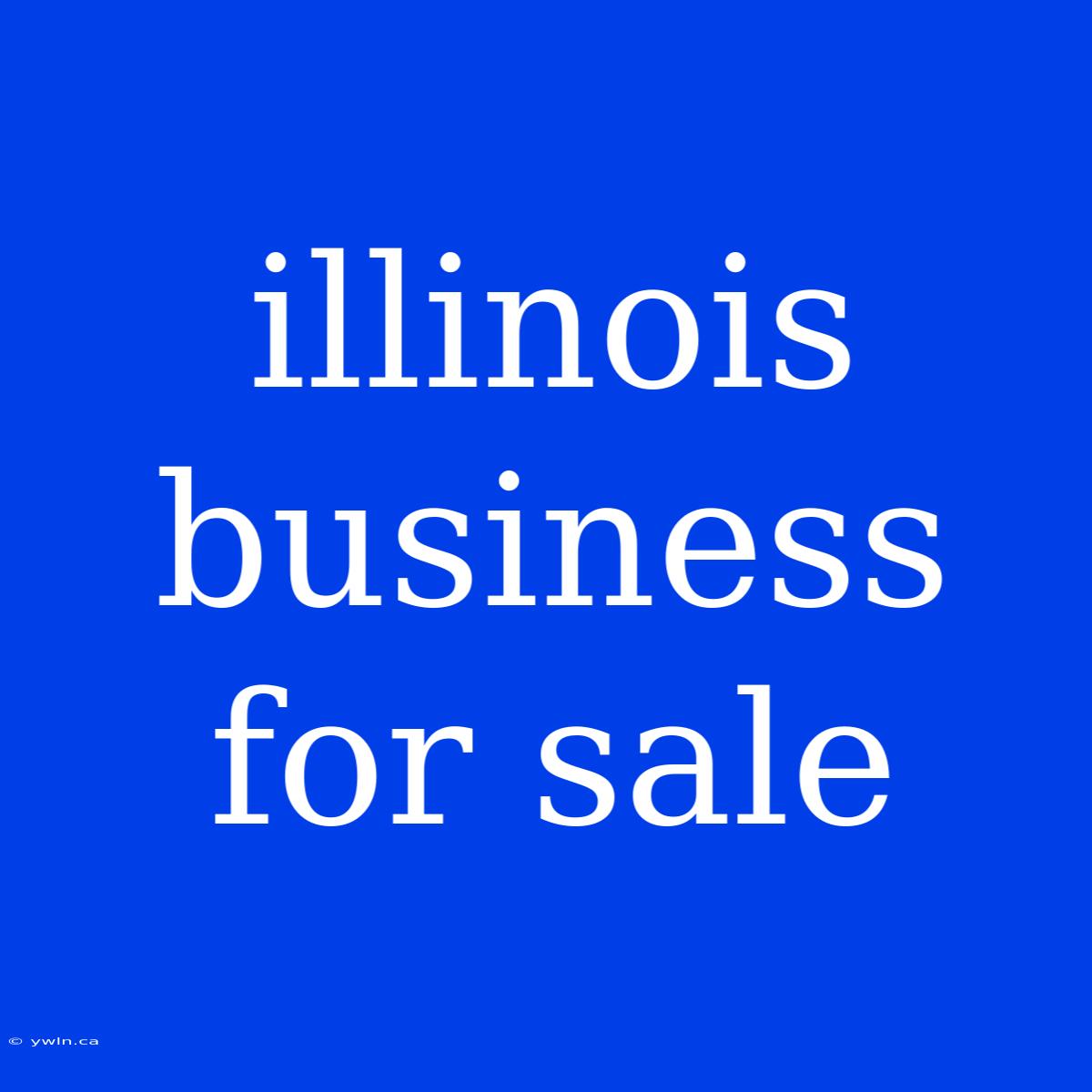 Illinois Business For Sale