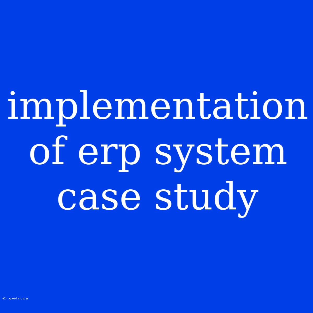 Implementation Of Erp System Case Study