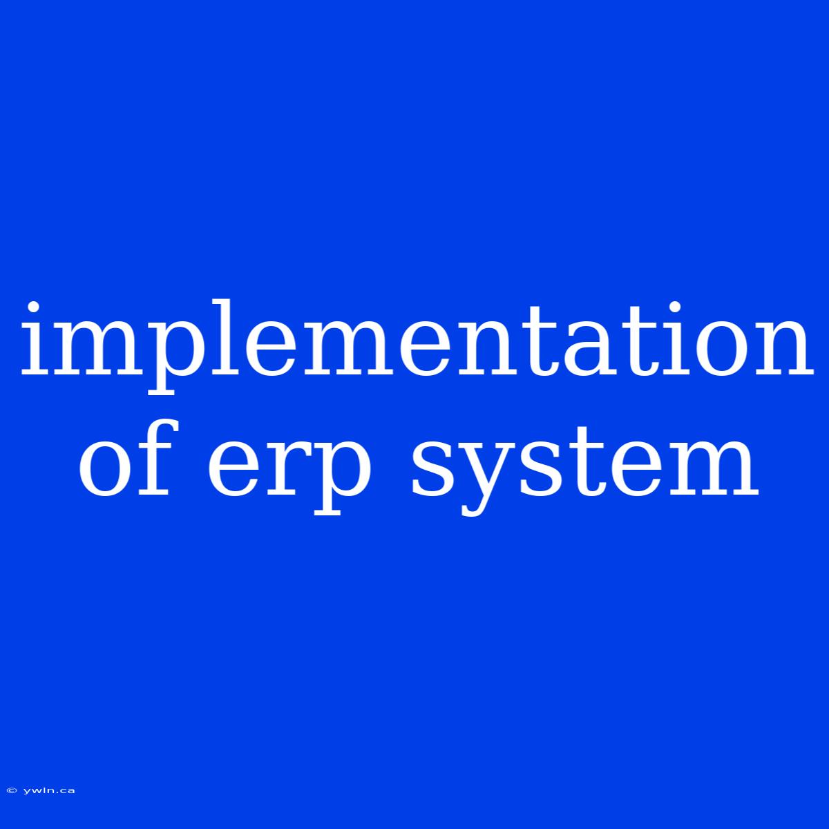 Implementation Of Erp System