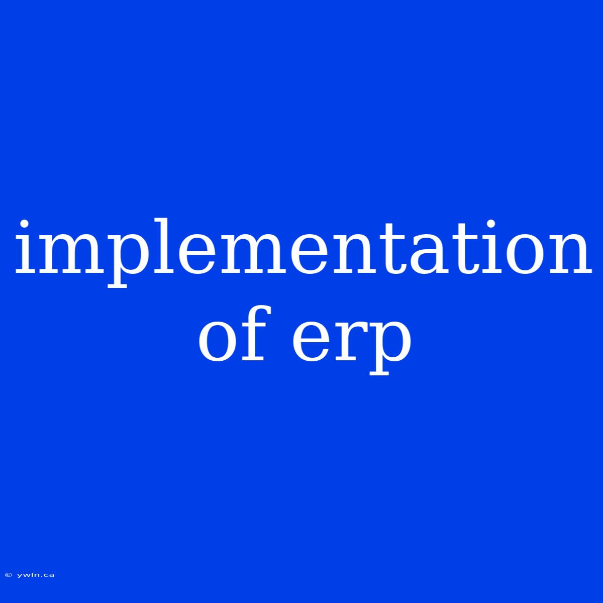 Implementation Of Erp