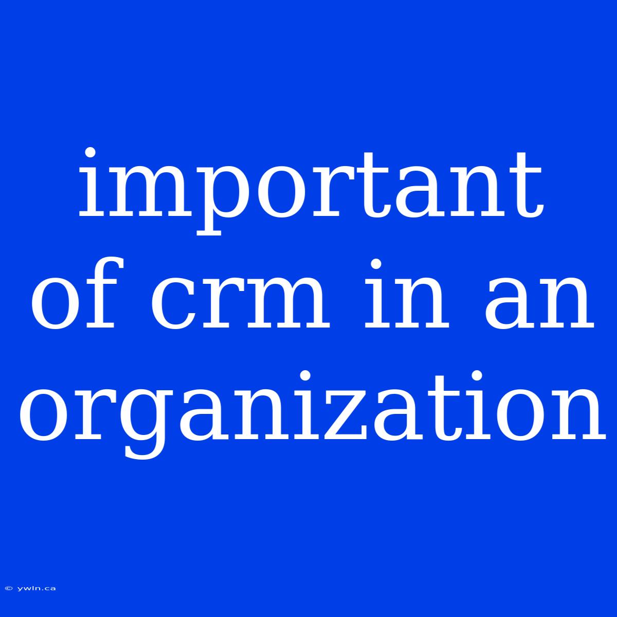 Important Of Crm In An Organization