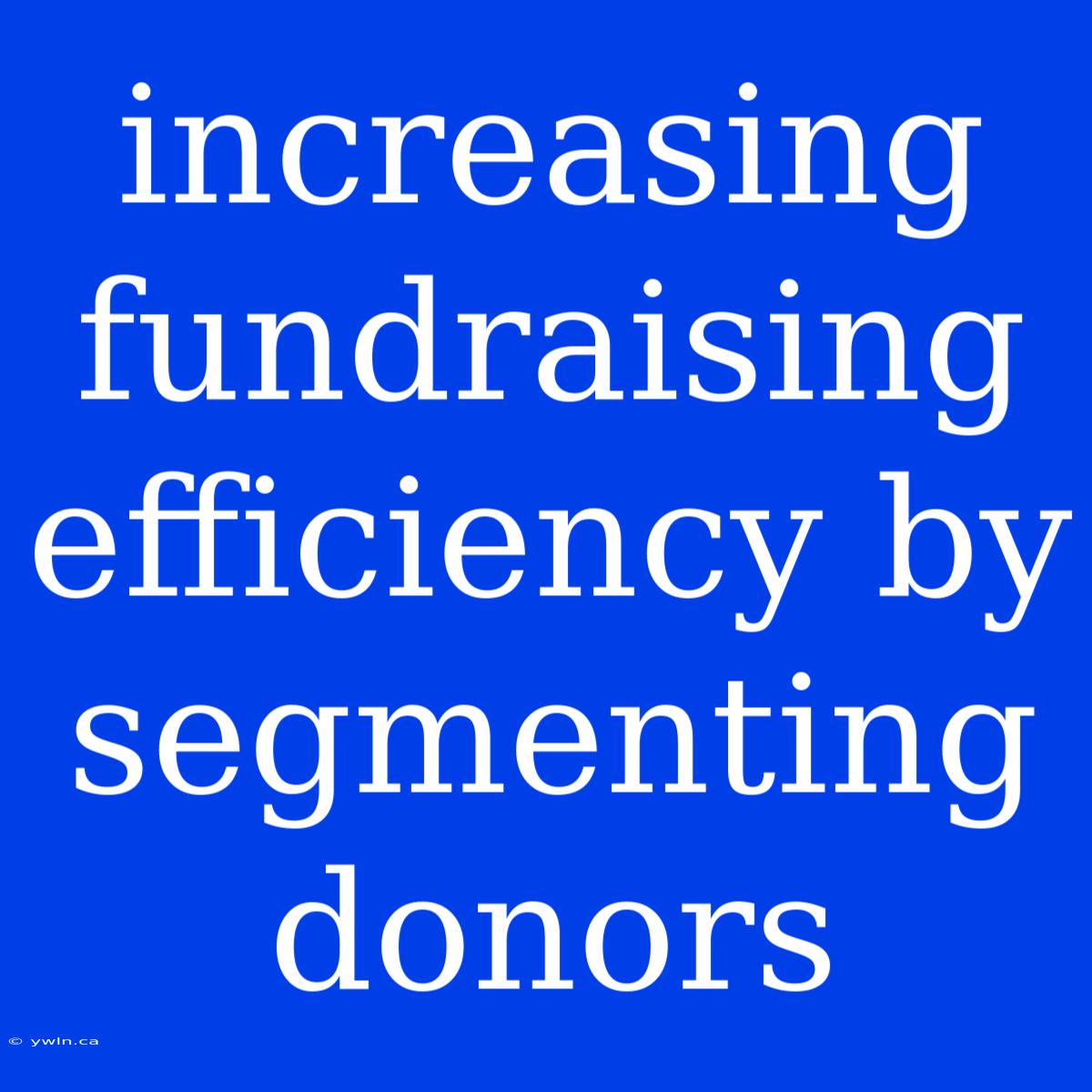 Increasing Fundraising Efficiency By Segmenting Donors