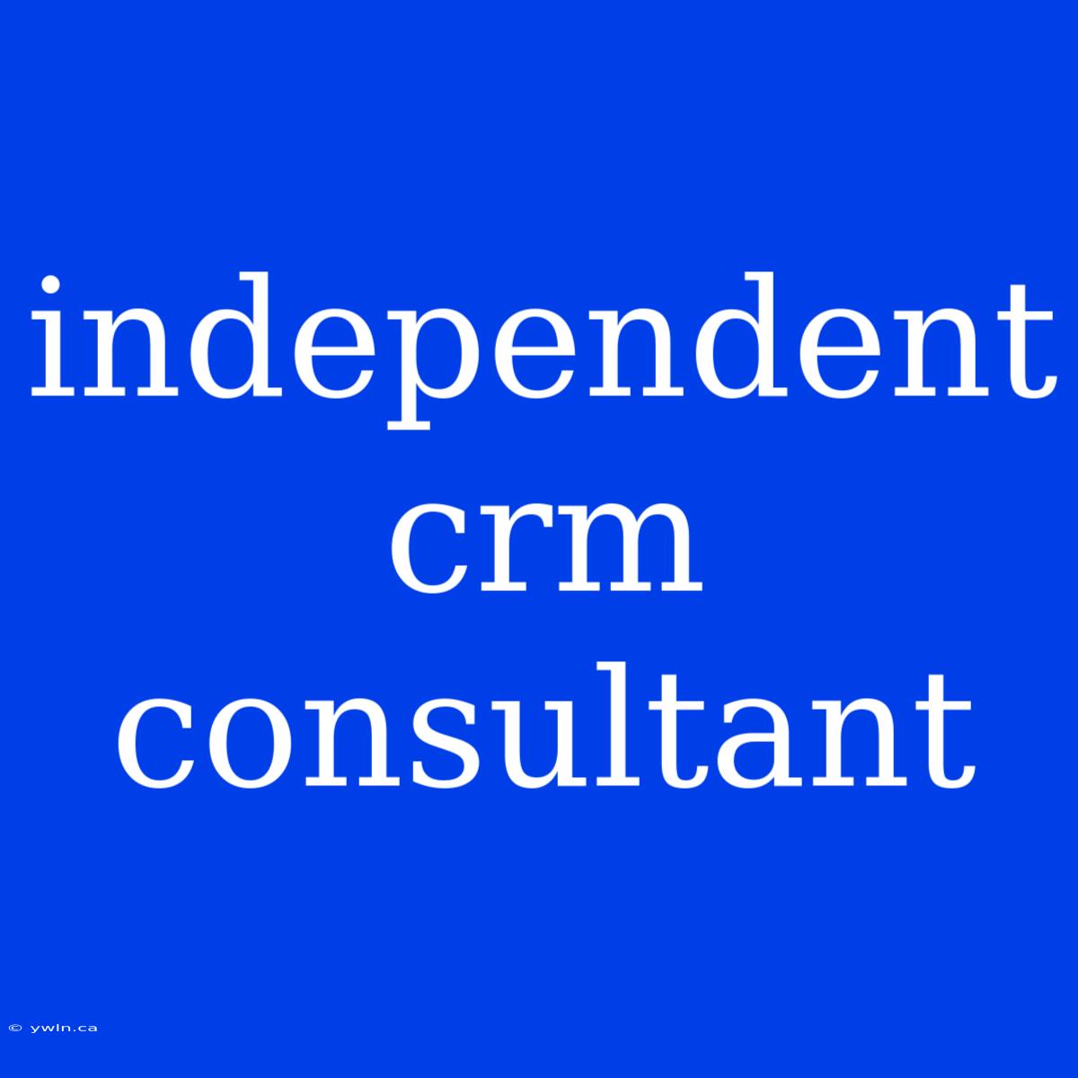 Independent Crm Consultant