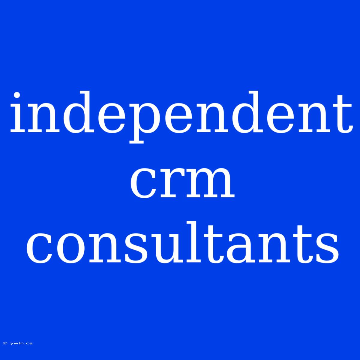 Independent Crm Consultants