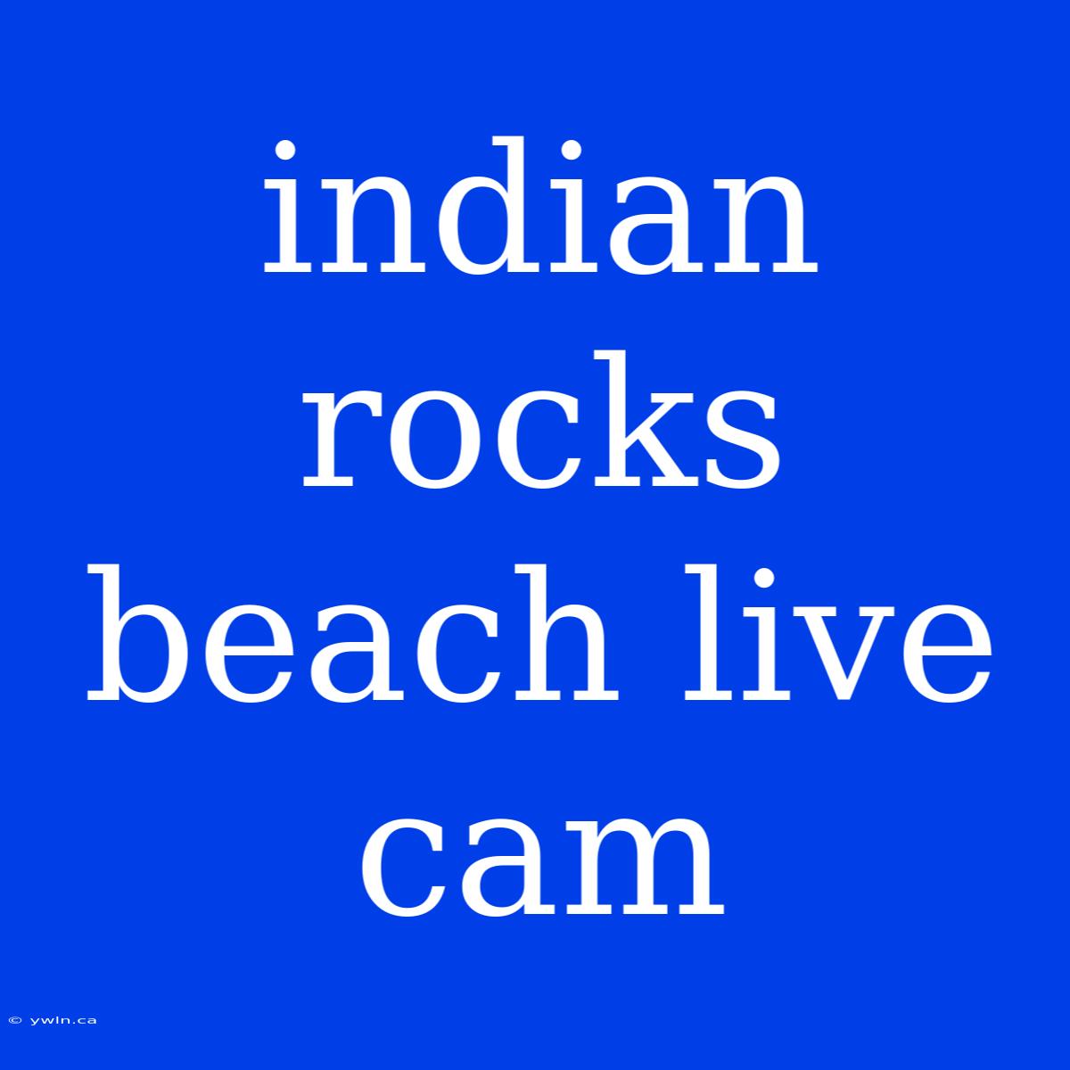 Indian Rocks Beach Live Cam