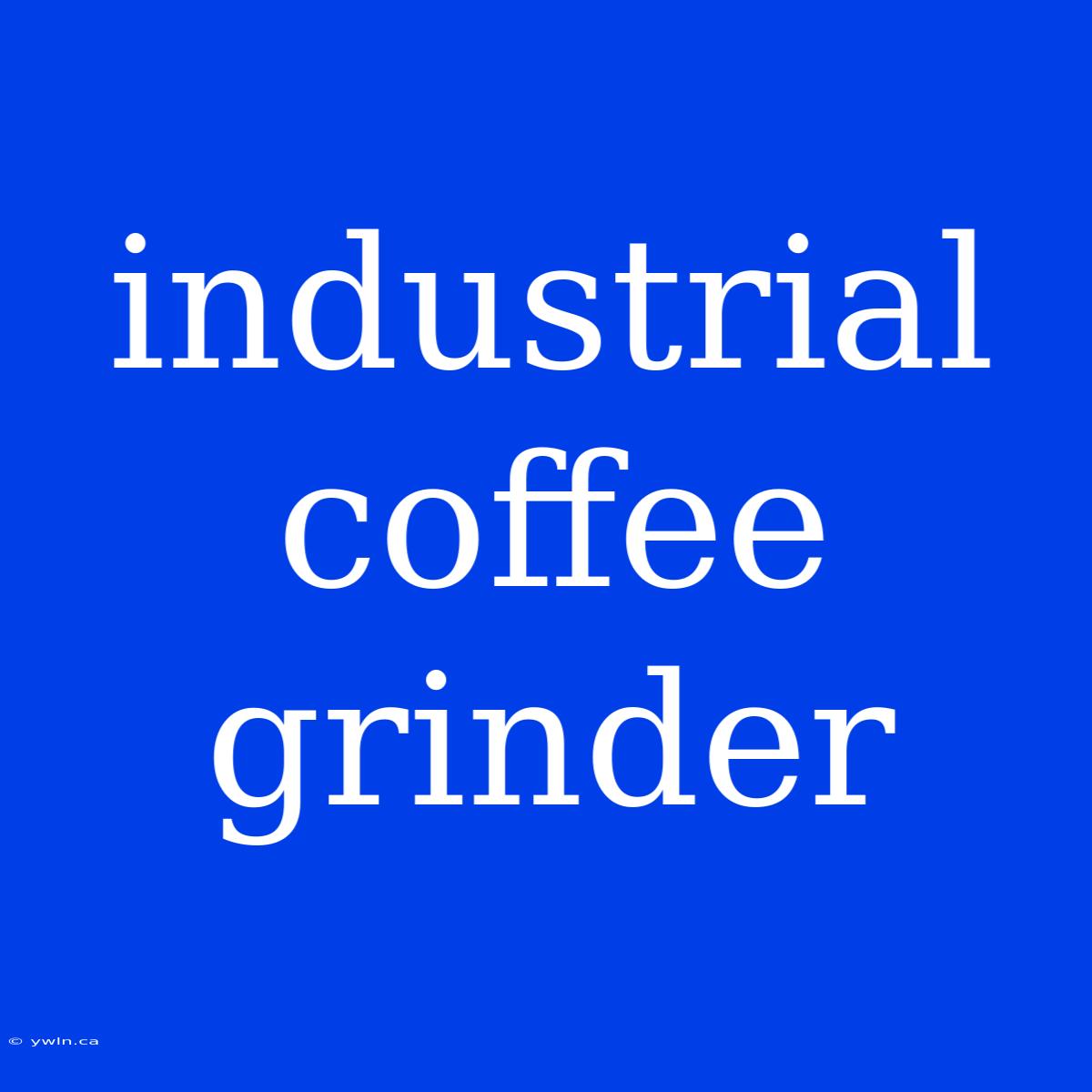 Industrial Coffee Grinder