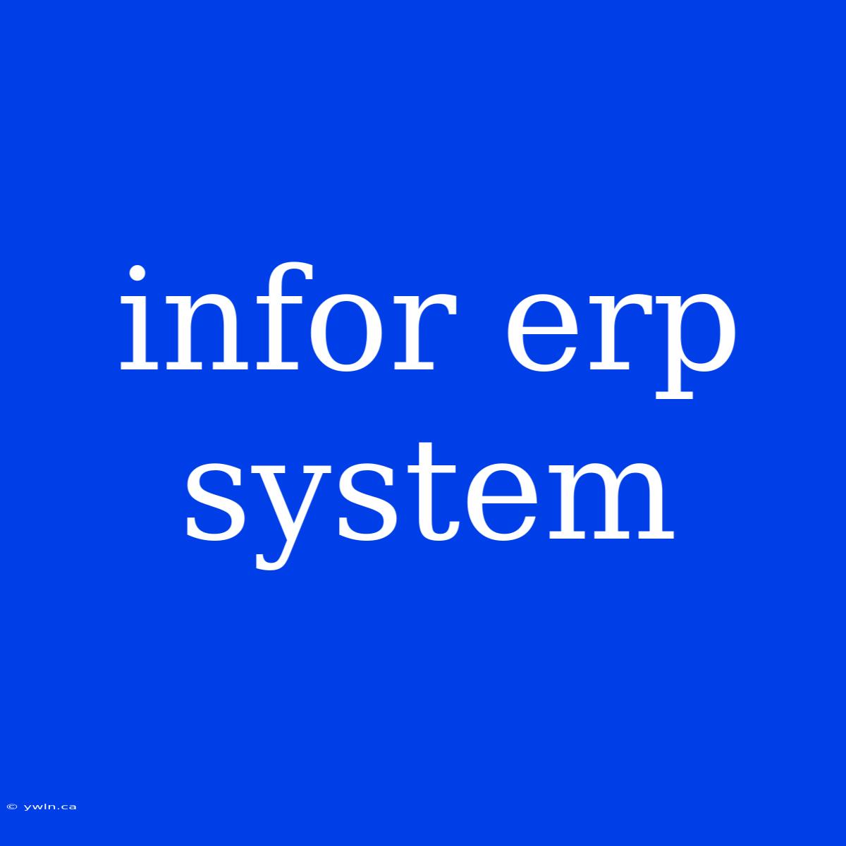 Infor Erp System