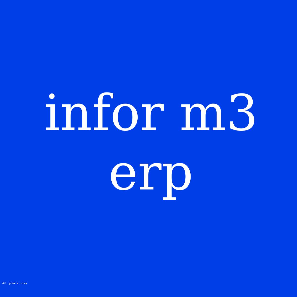 Infor M3 Erp