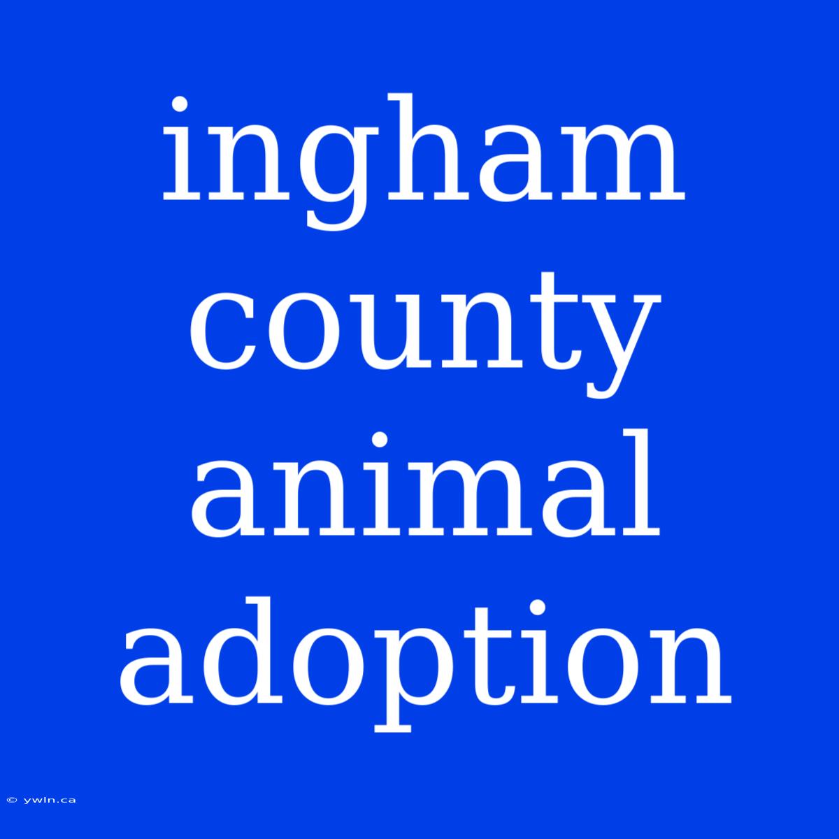 Ingham County Animal Adoption