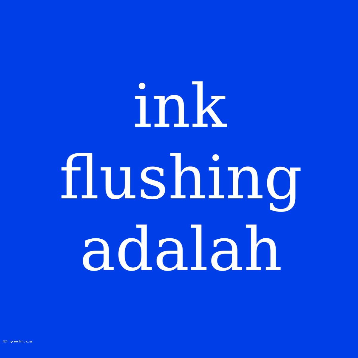 Ink Flushing Adalah