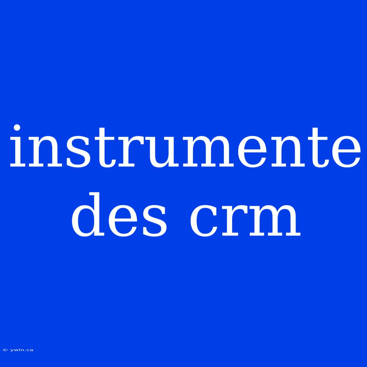 Instrumente Des Crm