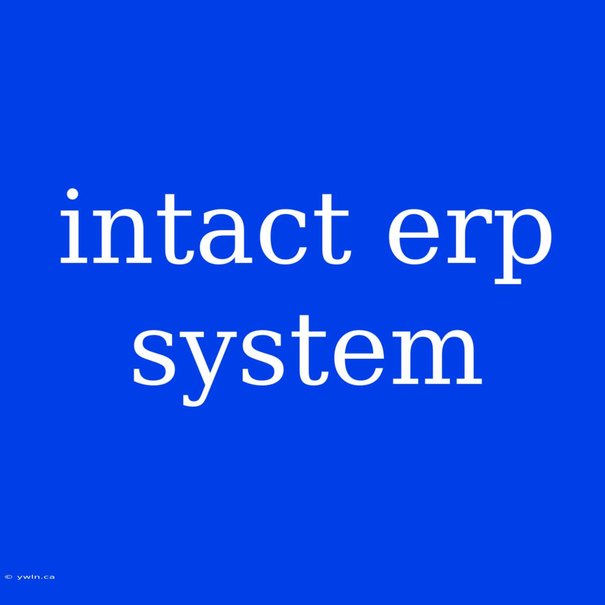 Intact Erp System