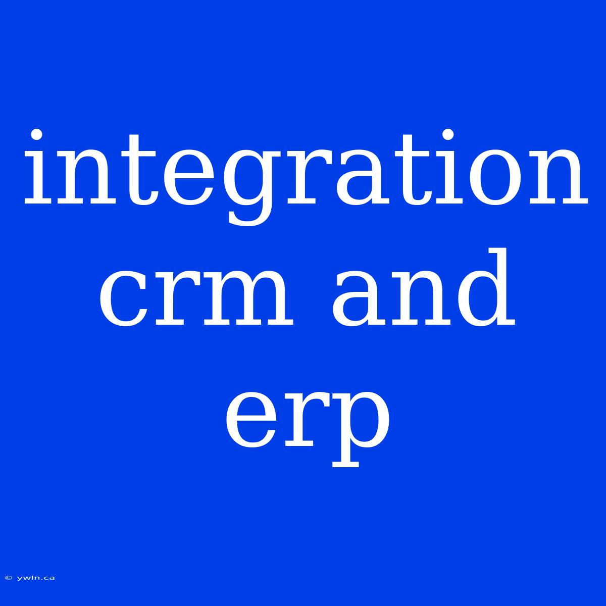 Integration Crm And Erp