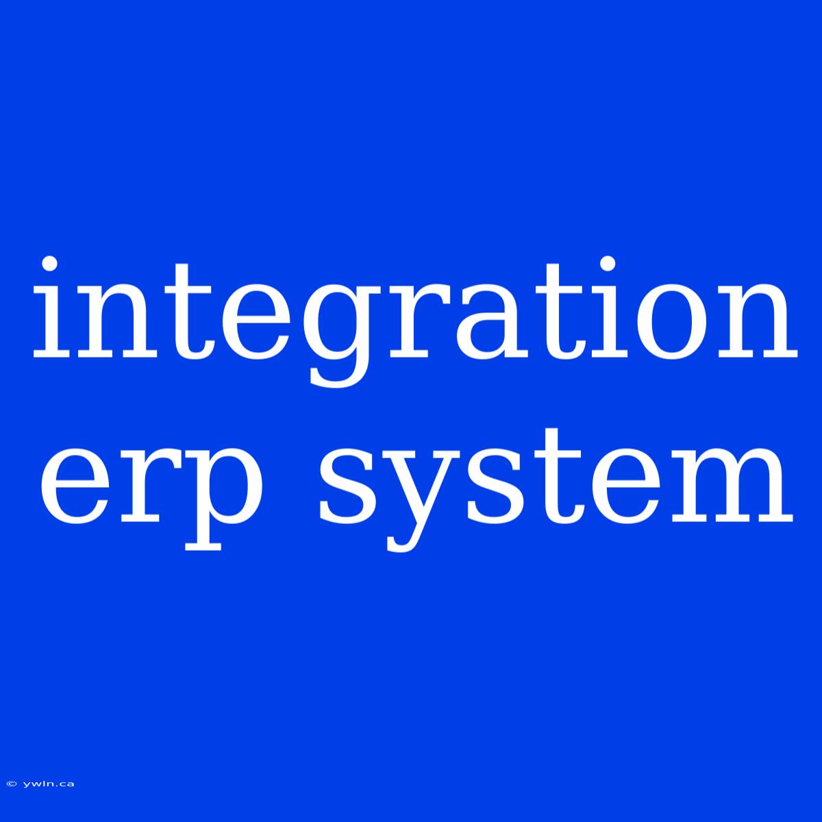 Integration Erp System