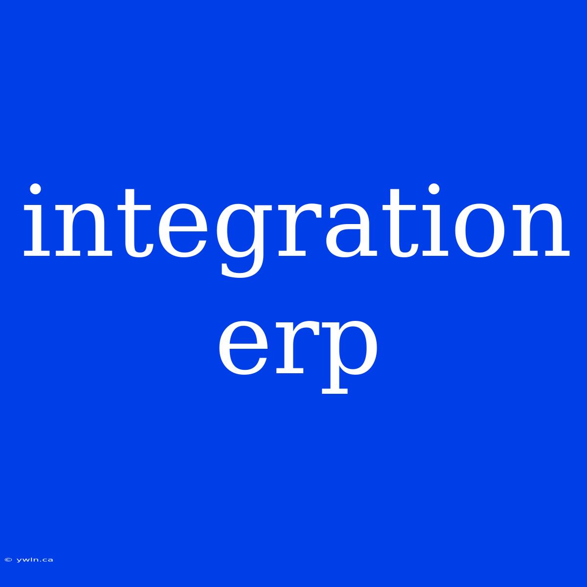 Integration Erp