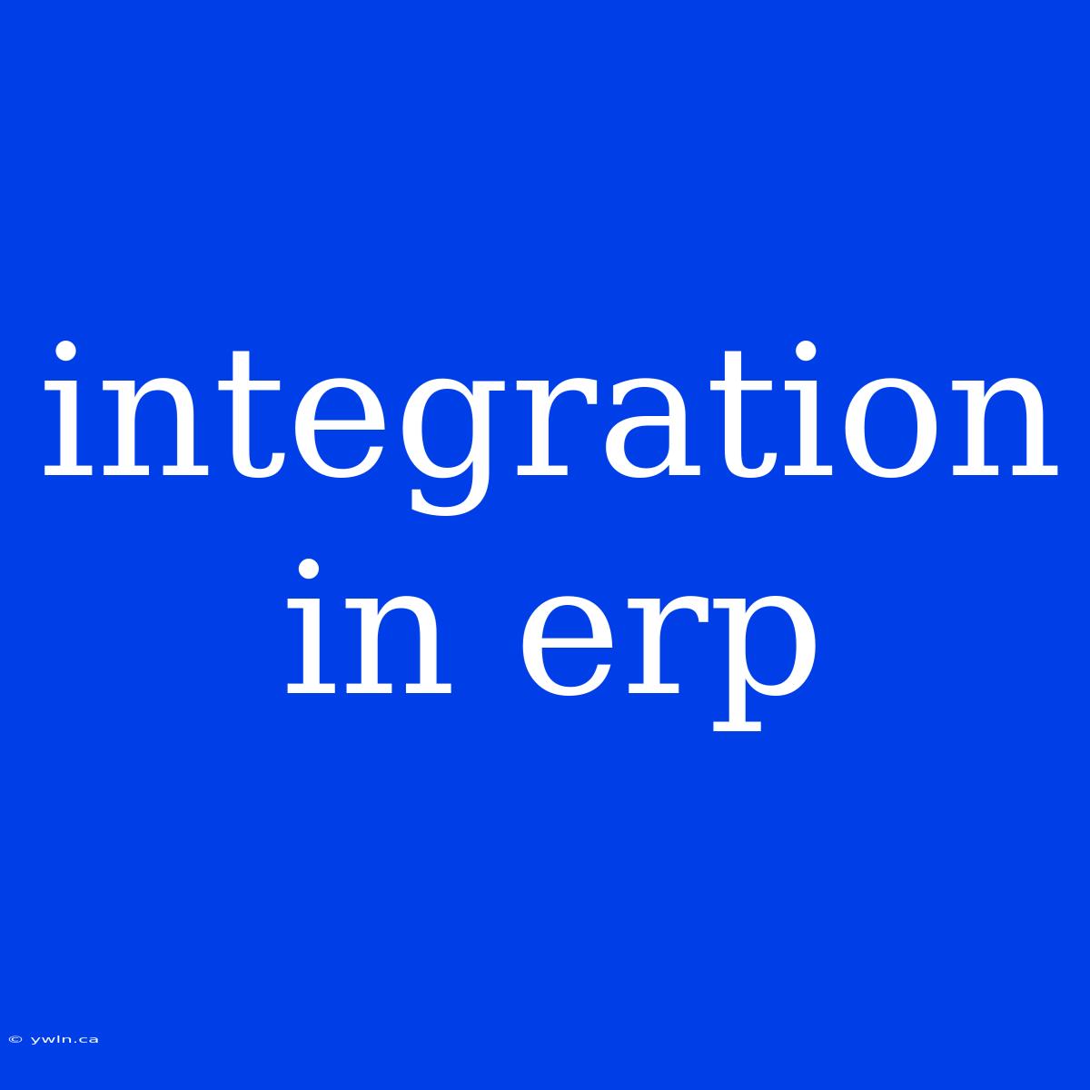 Integration In Erp