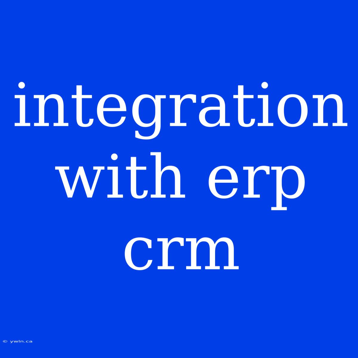 Integration With Erp Crm