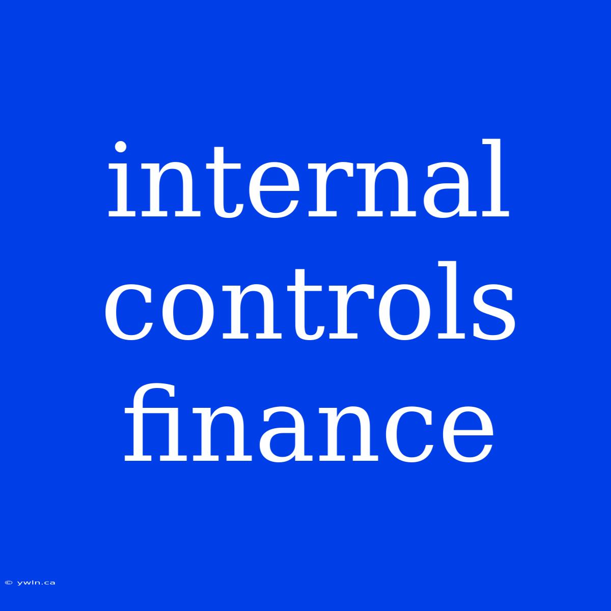 Internal Controls Finance