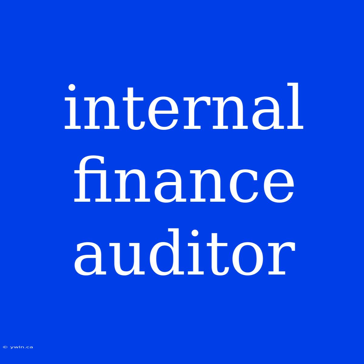 Internal Finance Auditor