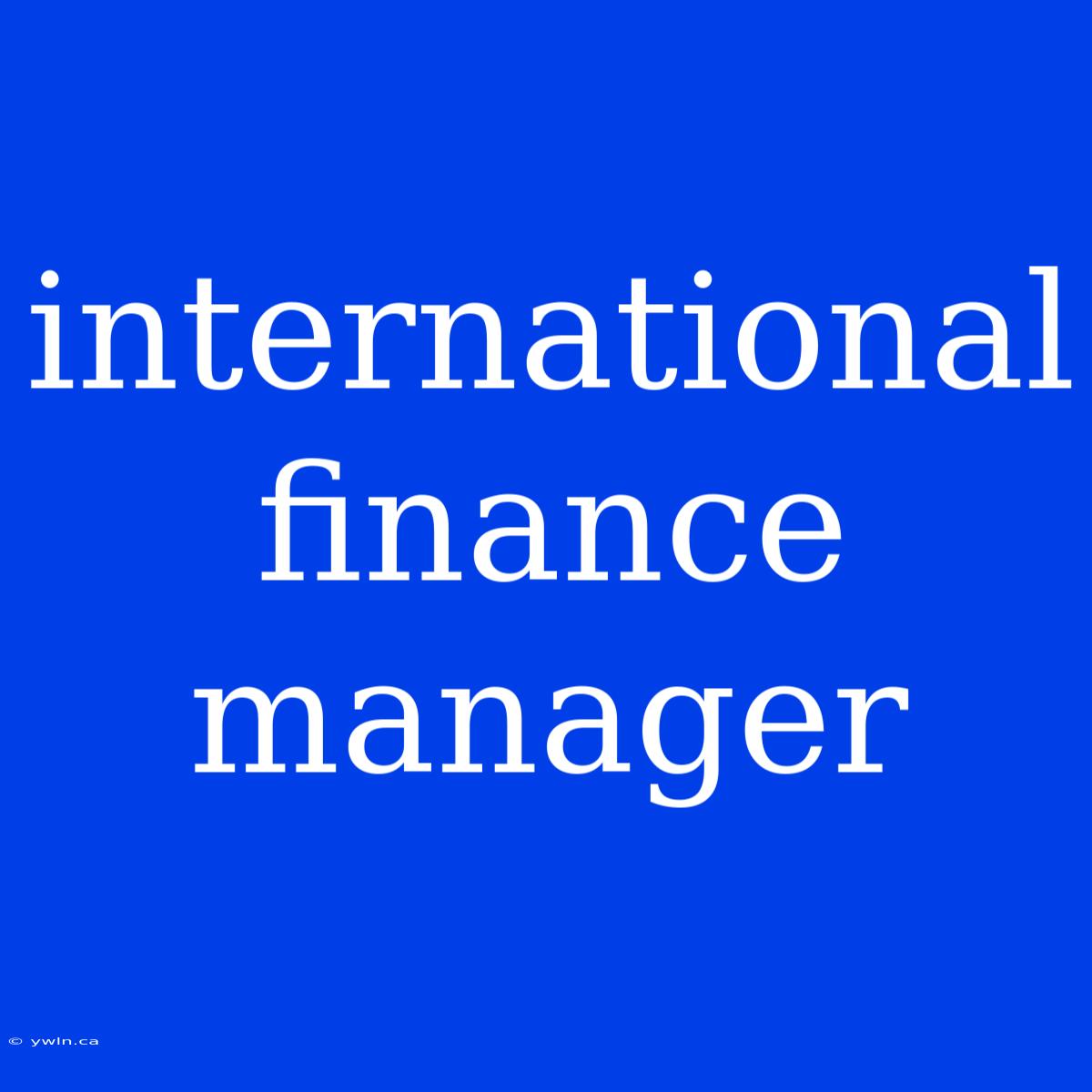 International Finance Manager