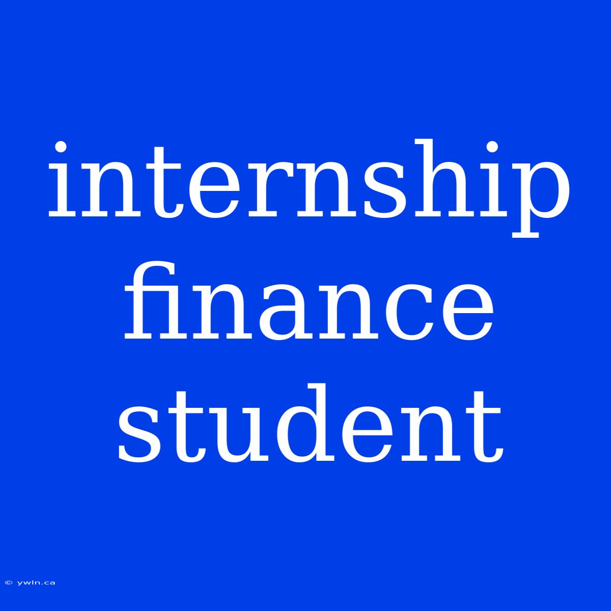 Internship Finance Student