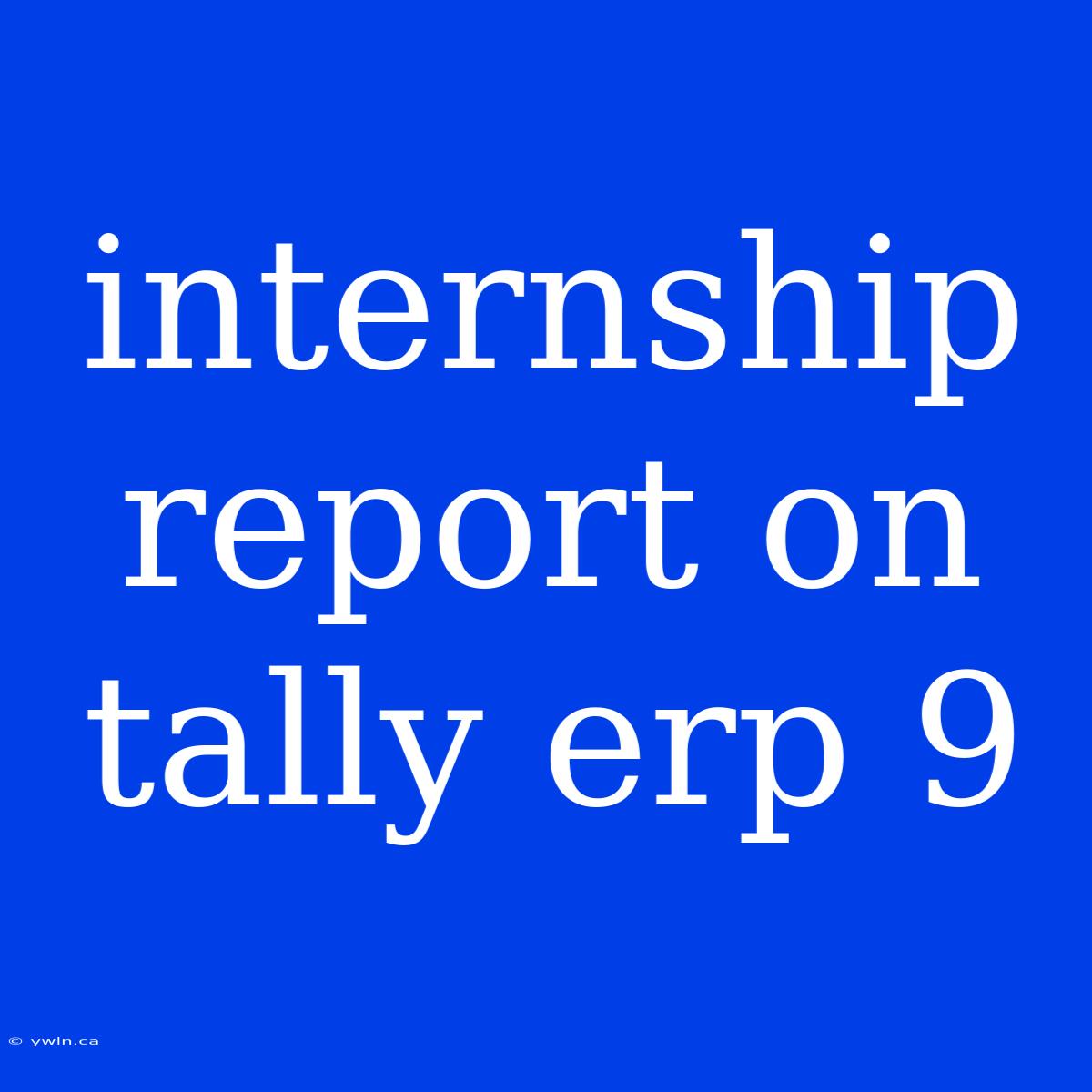 Internship Report On Tally Erp 9