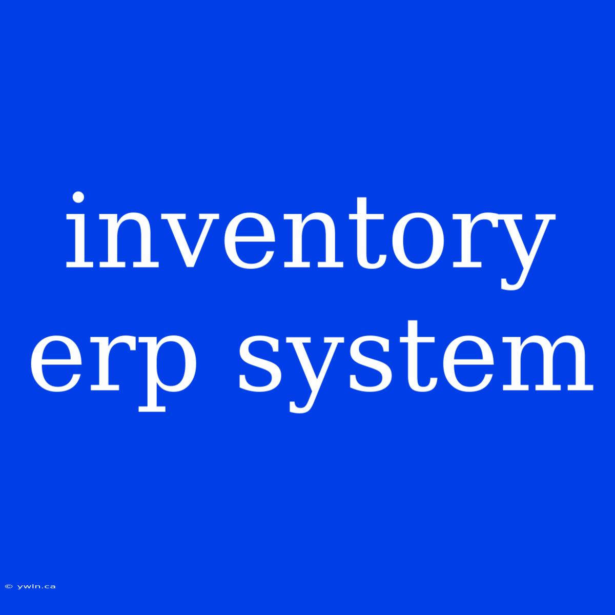 Inventory Erp System