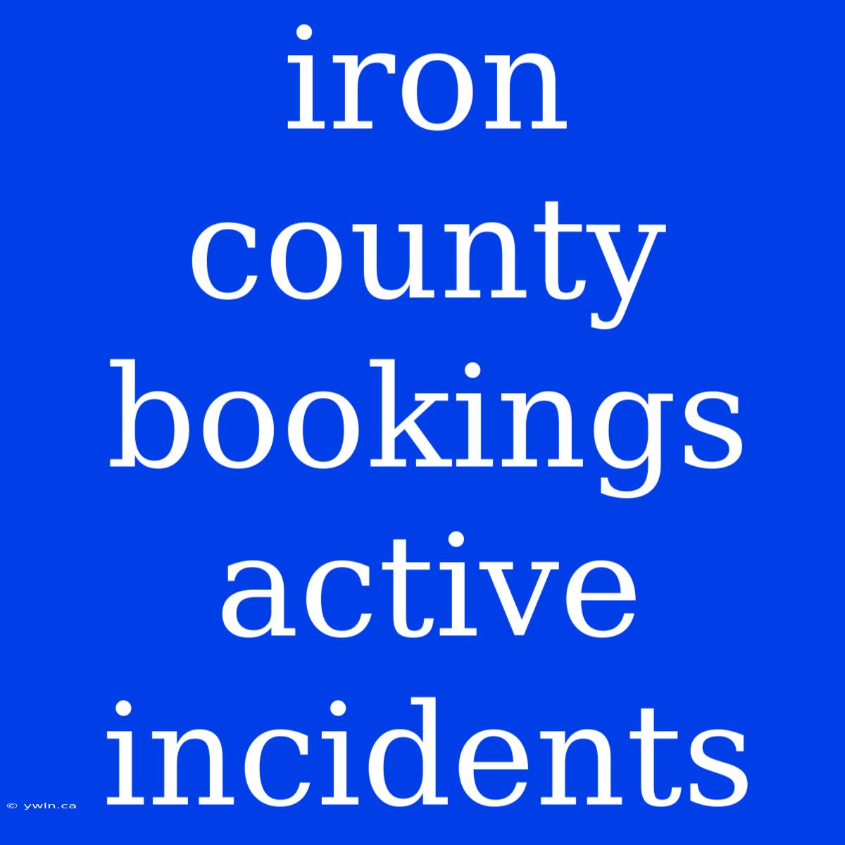 Iron County Bookings Active Incidents