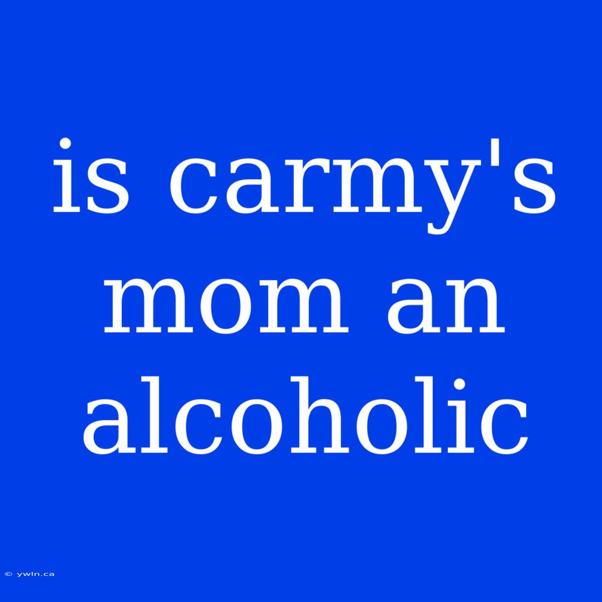 Is Carmy's Mom An Alcoholic