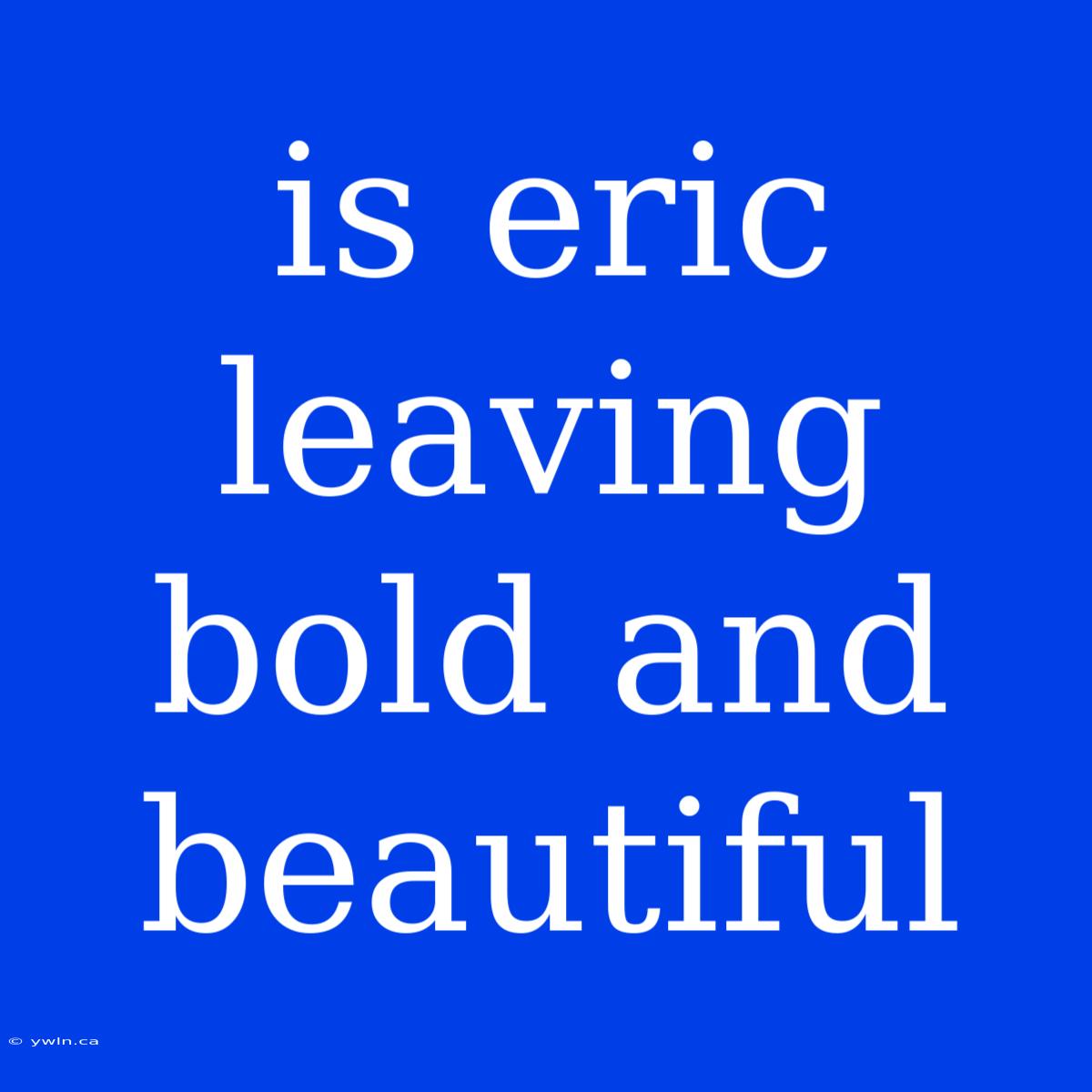 Is Eric Leaving Bold And Beautiful