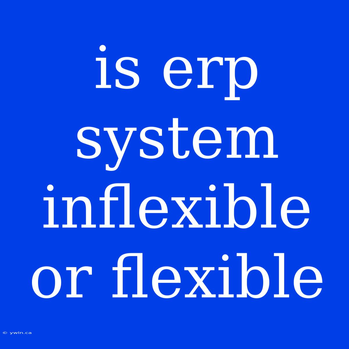 Is Erp System Inflexible Or Flexible