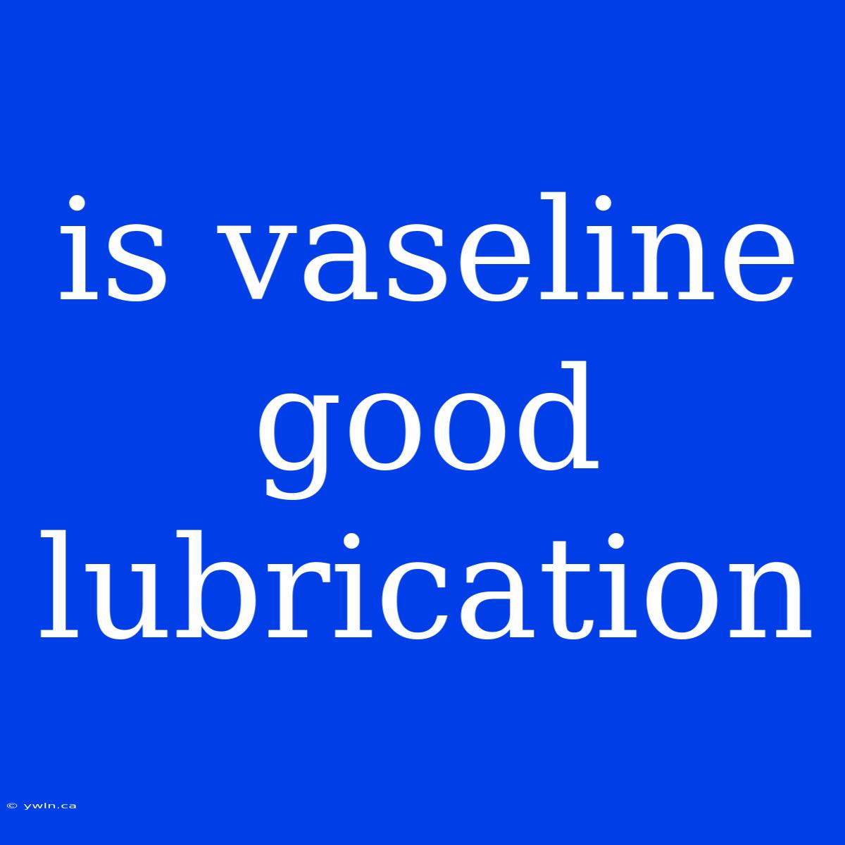 Is Vaseline Good Lubrication