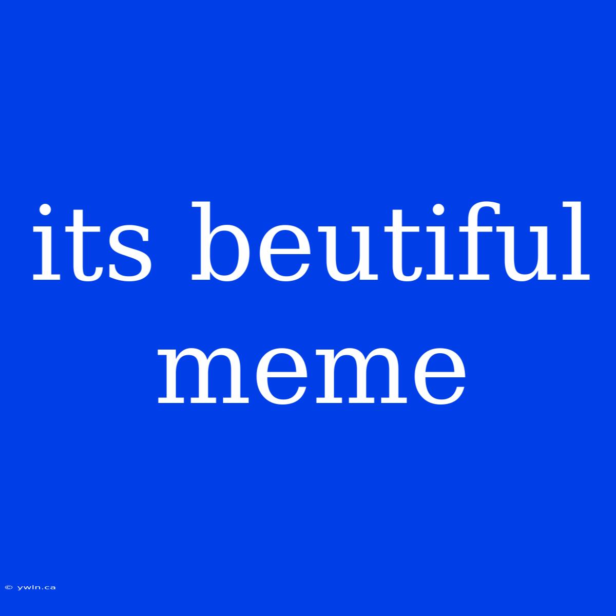 Its Beutiful Meme