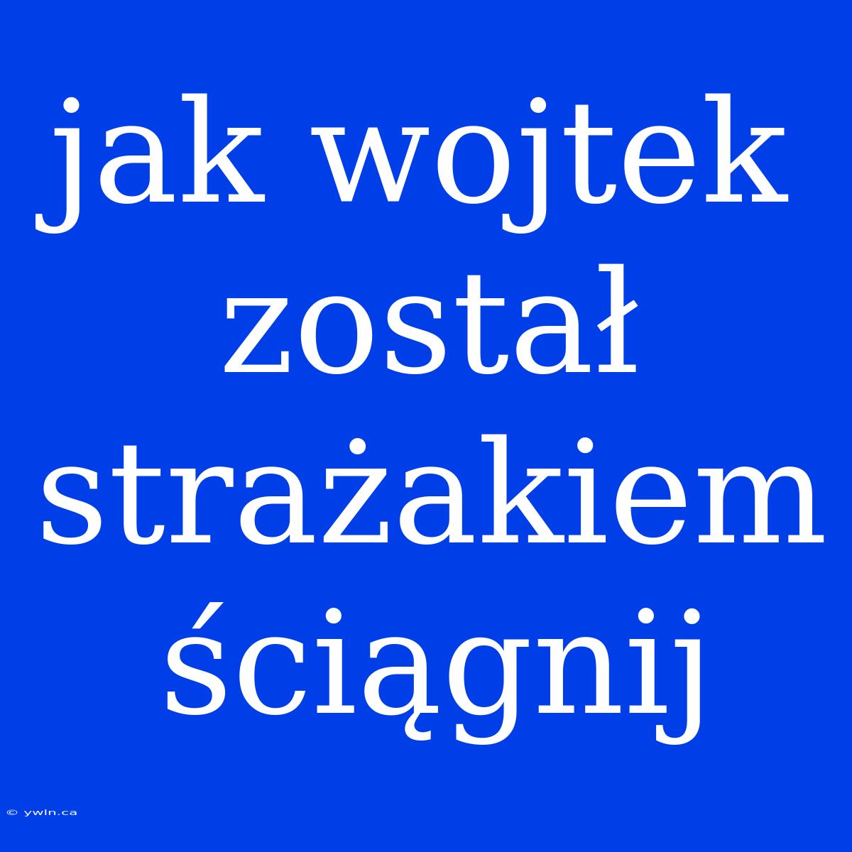 Jak Wojtek Został Strażakiem Ściągnij