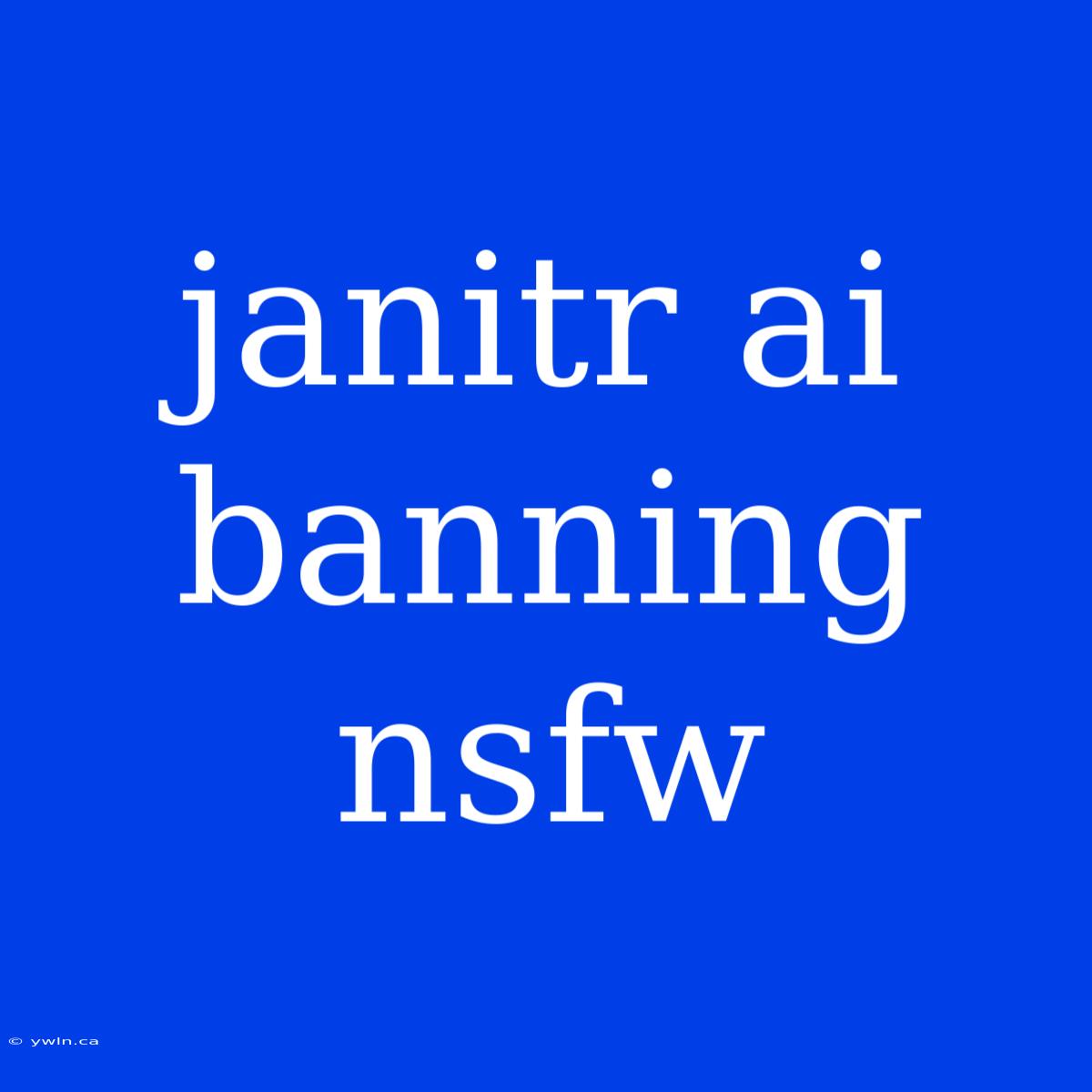 Janitr Ai Banning Nsfw