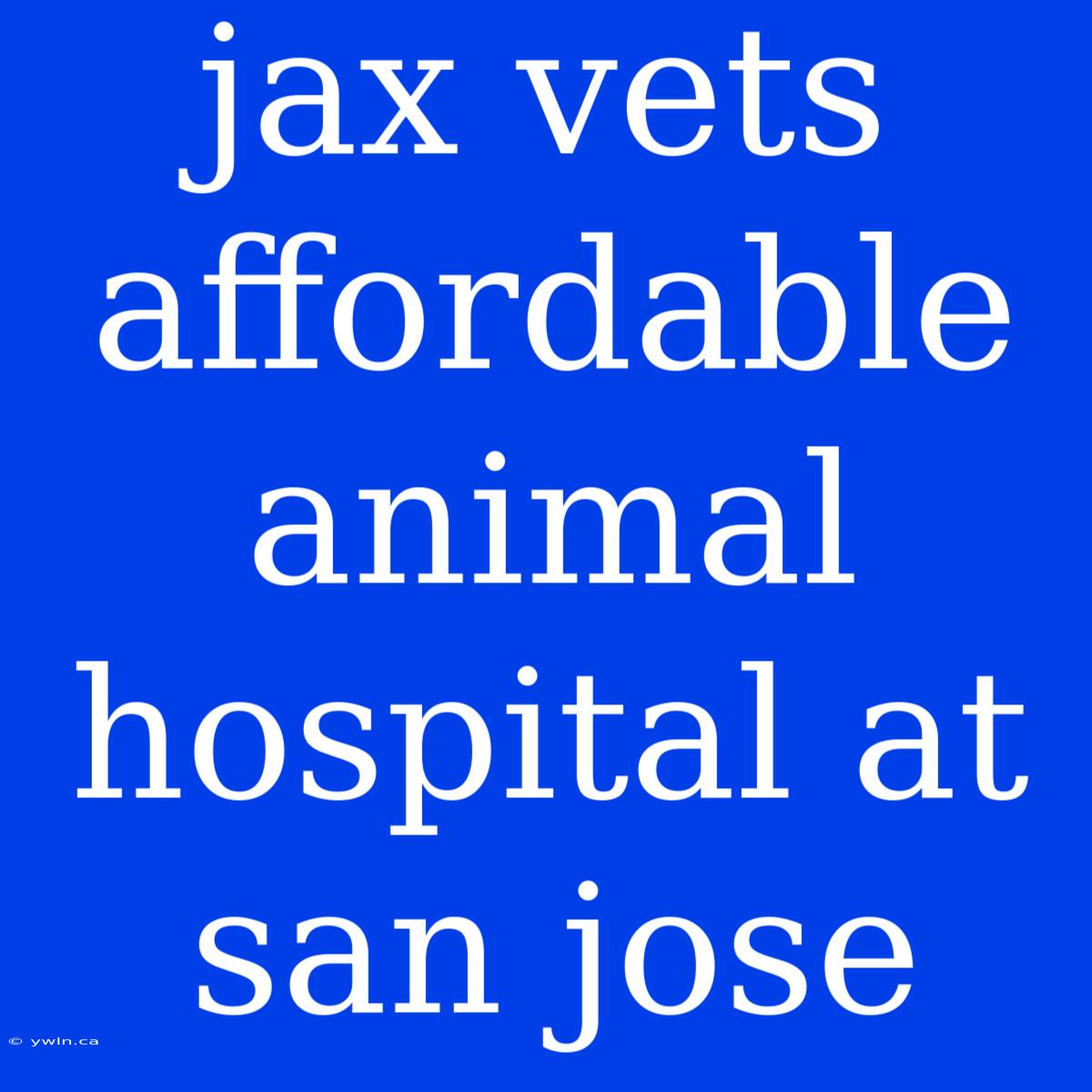 Jax Vets Affordable Animal Hospital At San Jose