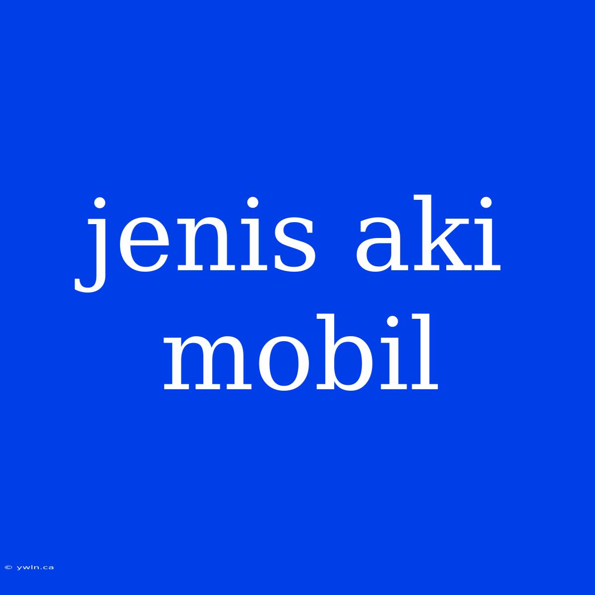 Jenis Aki Mobil