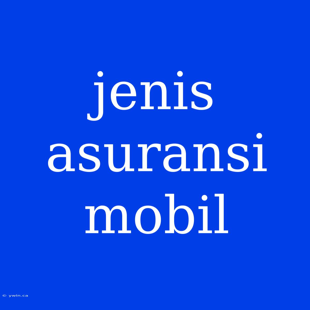 Jenis Asuransi Mobil