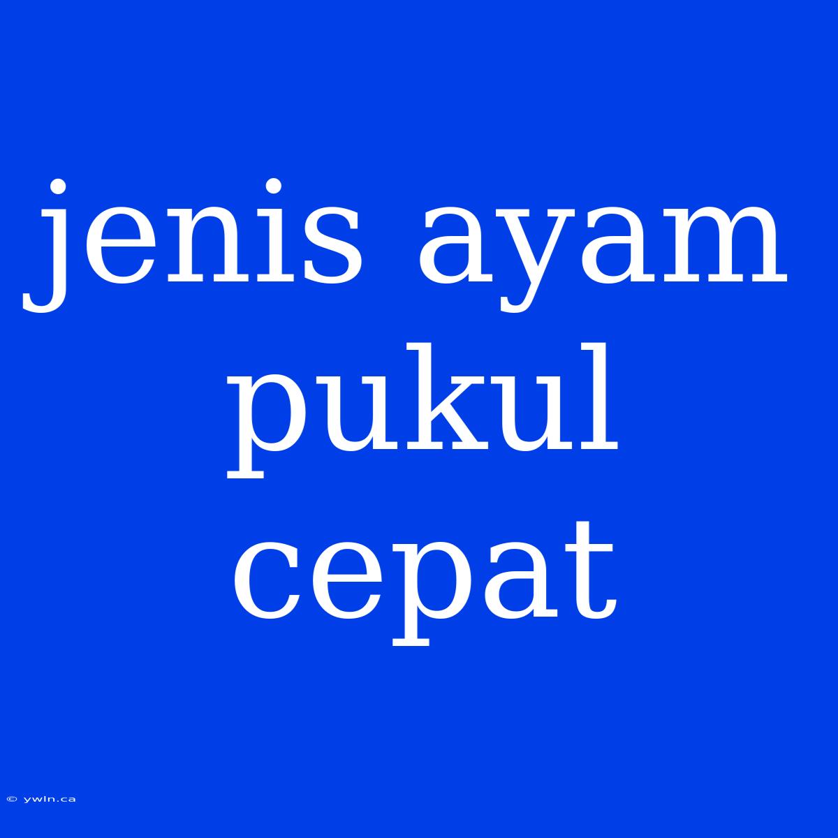 Jenis Ayam Pukul Cepat