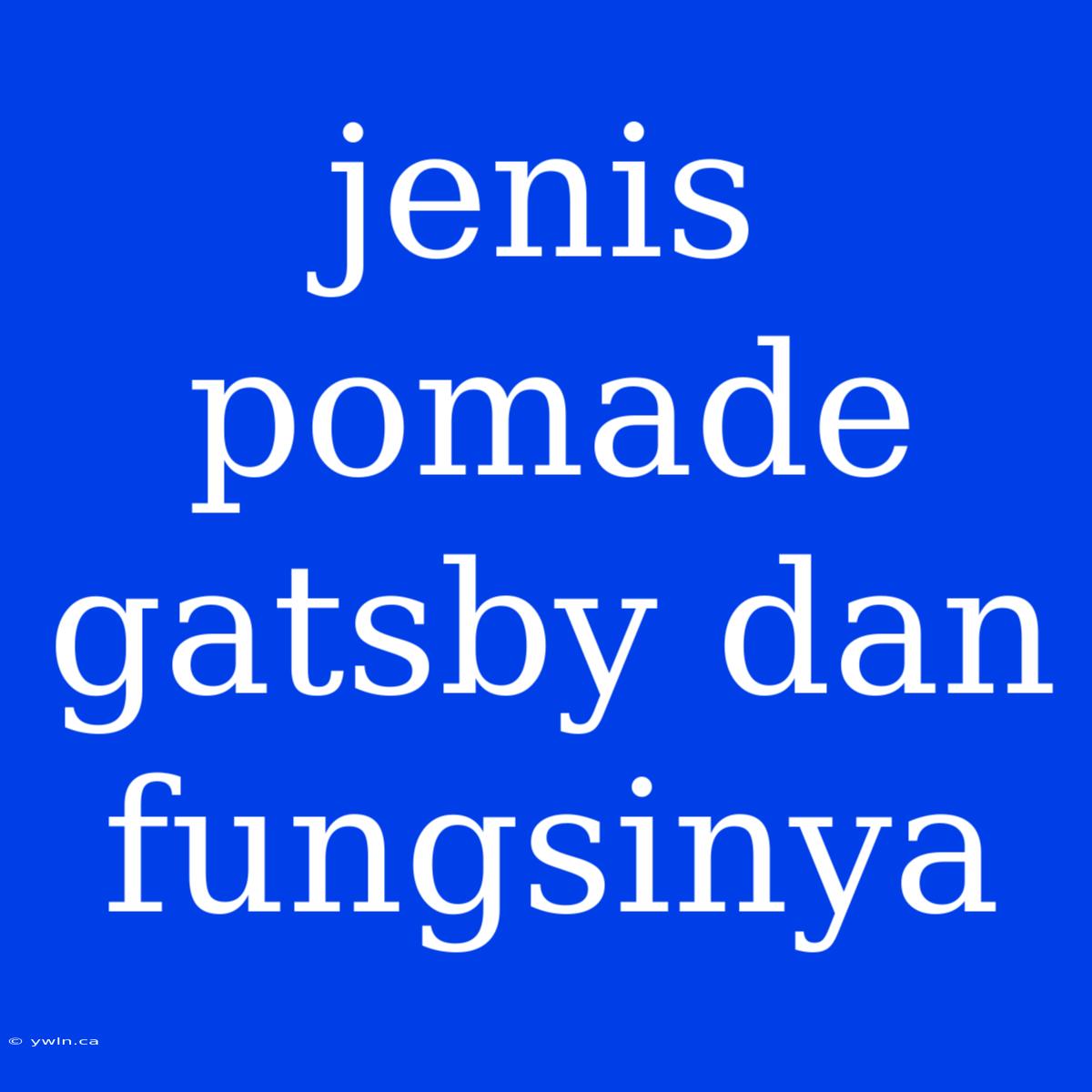 Jenis Pomade Gatsby Dan Fungsinya